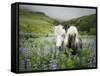 Icelandic Horses III-PHBurchett-Framed Stretched Canvas