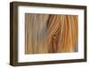 Icelandic horses in south Iceland-Chuck Haney-Framed Photographic Print