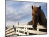 Icelandic Horses in Windswept Pasture Near Gullfoss Waterfall on Summer Morning, Iceland-Paul Souders-Mounted Photographic Print