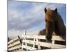 Icelandic Horses in Windswept Pasture Near Gullfoss Waterfall on Summer Morning, Iceland-Paul Souders-Mounted Photographic Print