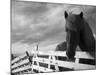 Icelandic Horses in Windswept Pasture Near Gullfoss Waterfall on Summer Morning, Iceland-Paul Souders-Mounted Photographic Print