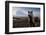 Icelandic Horses Near Ash Plume from Eyjafjallajokull Eruption-null-Framed Photographic Print