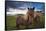 Icelandic horses, near Hofn, Hornafjordur mountains and glaciers behinD-Patrick Dieudonne-Framed Stretched Canvas