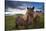 Icelandic horses, near Hofn, Hornafjordur mountains and glaciers behinD-Patrick Dieudonne-Stretched Canvas