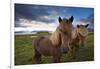 Icelandic horses, near Hofn, Hornafjordur mountains and glaciers behinD-Patrick Dieudonne-Framed Photographic Print