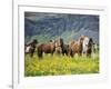 Icelandic Horses VII-PHBurchett-Framed Photographic Print