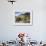 Icelandic Horses With Volcanic Mountains in the Distance, South Iceland, Iceland, Polar Regions-Lee Frost-Framed Photographic Print displayed on a wall