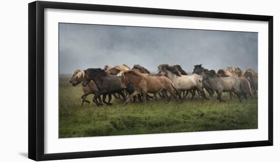 Icelandic Horses XIII-PHBurchett-Framed Photographic Print