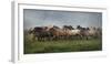 Icelandic Horses XIII-PHBurchett-Framed Photographic Print