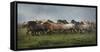 Icelandic Horses XIII-PHBurchett-Framed Stretched Canvas