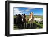 Icelandic Horses.-TTstudio-Framed Photographic Print