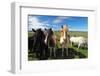 Icelandic Horses.-TTstudio-Framed Photographic Print