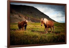 Icelandic horses-Philippe Sainte-Laudy-Framed Photographic Print