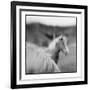 Icelandic Ponies, Iceland-Paul Souders-Framed Photographic Print