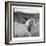 Icelandic Ponies, Iceland-Paul Souders-Framed Photographic Print