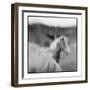 Icelandic Ponies, Iceland-Paul Souders-Framed Photographic Print