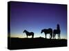 Icelandic Ponies Silhouetted against the Evening Sky-Arctic-Images-Stretched Canvas