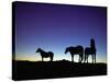 Icelandic Ponies Silhouetted against the Evening Sky-Arctic-Images-Stretched Canvas