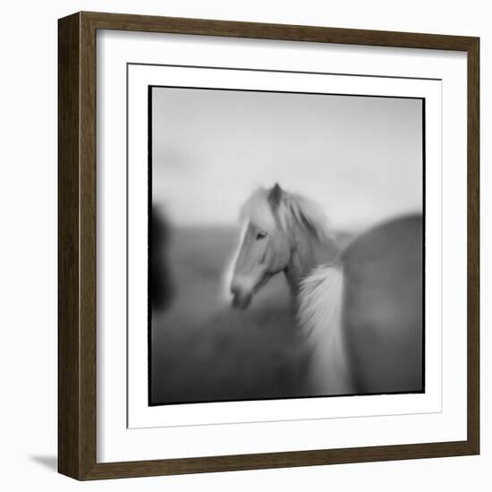 Icelandic Pony, Iceland-Paul Souders-Framed Photographic Print