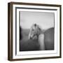 Icelandic Pony, Iceland-Paul Souders-Framed Photographic Print