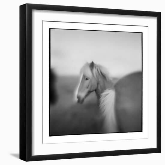 Icelandic Pony, Iceland-Paul Souders-Framed Photographic Print