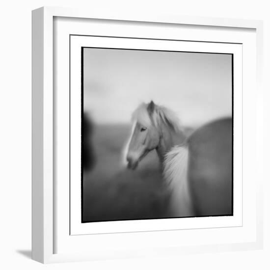 Icelandic Pony, Iceland-Paul Souders-Framed Photographic Print