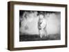 Icelandic pony-Jeffrey C. Sink-Framed Photographic Print