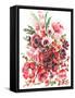 Icelandic Poppies II-Ania Zwara-Framed Stretched Canvas