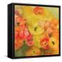 Icelandic Poppies Nudicaule-Karen Armitage-Framed Stretched Canvas