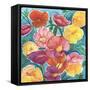 Icelandic Poppies-Elizabeth Rider-Framed Stretched Canvas