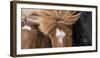 Icelandic Trio-Martin Zwick-Framed Giclee Print