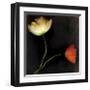 Icelantic Poppies-Rick Filler-Framed Giclee Print