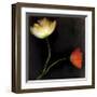 Icelantic Poppies-Rick Filler-Framed Giclee Print