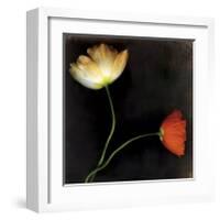 Icelantic Poppies-Rick Filler-Framed Giclee Print