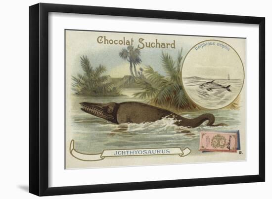 Ichthyosaur and Common Dolphin-null-Framed Giclee Print