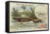 Ichthyosaur and Common Dolphin-null-Framed Stretched Canvas