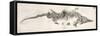 Ichthyosaur Skeleton Engraving 1819 Home-Stewart Stewart-Framed Stretched Canvas