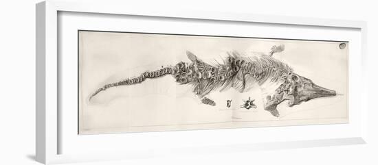 Ichthyosaur Skeleton Engraving 1819 Home-Stewart Stewart-Framed Photographic Print