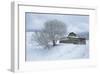 Icicle Magic-David Winston-Framed Giclee Print