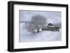 Icicle Magic-David Lorenz Winston-Framed Art Print