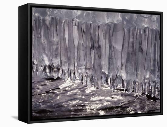 Icicle-WizData-Framed Stretched Canvas