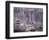 Icicle-WizData-Framed Photographic Print