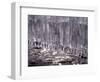 Icicle-WizData-Framed Photographic Print