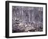 Icicle-WizData-Framed Photographic Print