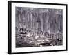 Icicle-WizData-Framed Photographic Print