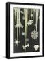 Icicles and Snowflakes-null-Framed Giclee Print