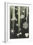 Icicles and Snowflakes-null-Framed Giclee Print