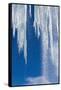 Icicles, Antarctic Peninsula-null-Framed Stretched Canvas