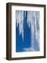 Icicles, Antarctic Peninsula-null-Framed Photographic Print