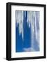 Icicles, Antarctic Peninsula-null-Framed Photographic Print